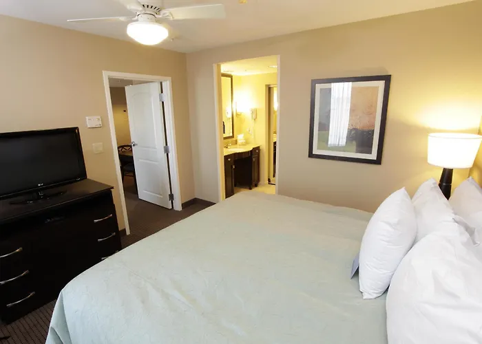 Hotel Homewood By Hilton Phoenix Fashion Center
