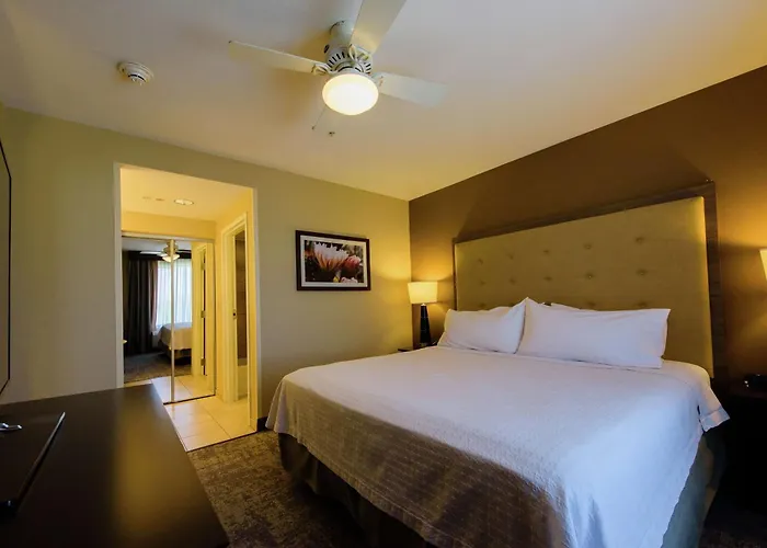 Hotel Homewood By Hilton Phoenix Fashion Center 3*