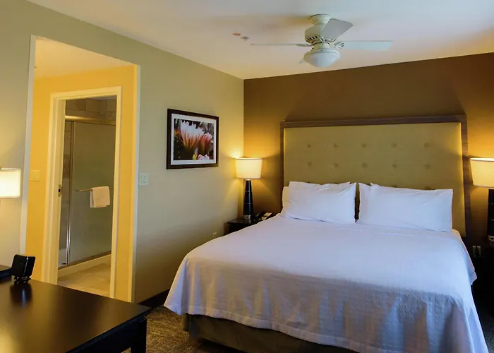 Hotel Homewood By Hilton Phoenix Fashion Center