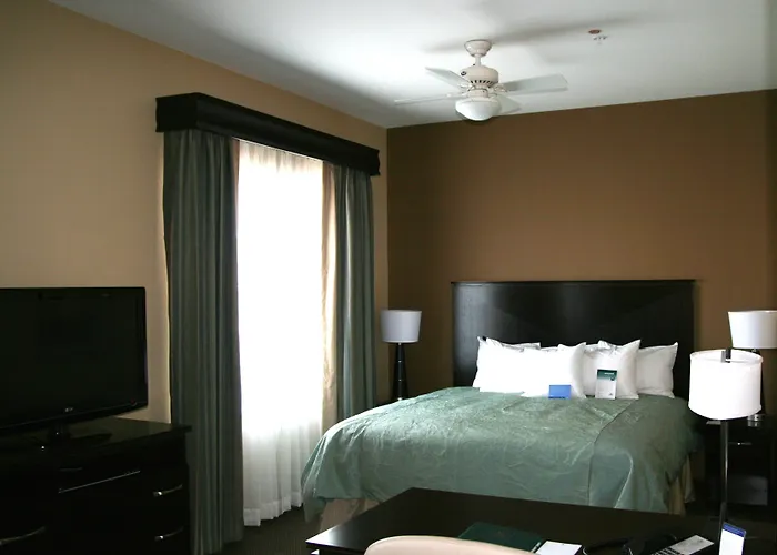 Hotel Homewood By Hilton Phoenix Fashion Center Chandler