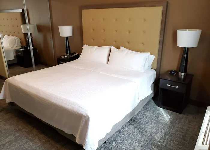 Homewood By Hilton Phoenix Fashion Center Hotel Chandler