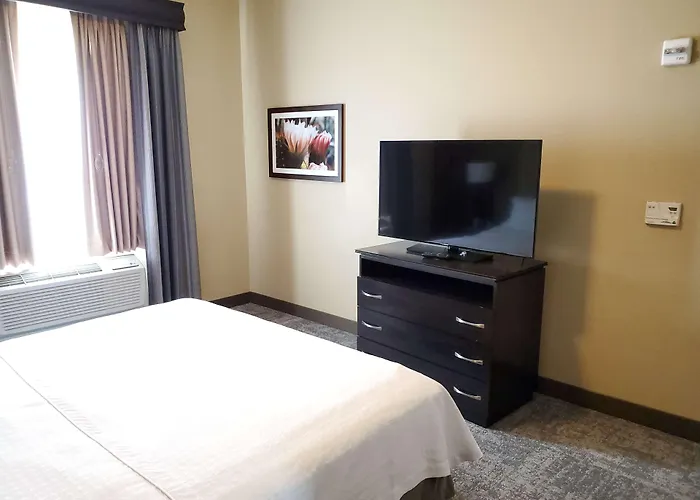 Hotel Homewood By Hilton Phoenix Fashion Center Chandler