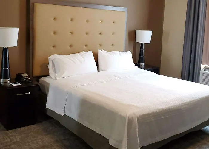 Hotel Homewood By Hilton Phoenix Fashion Center Chandler